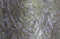 Bray Wick fibreglass roof work